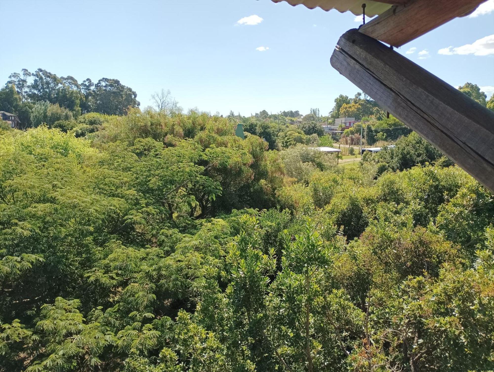 Casas Punta Negra Villa Piriapolis Exterior photo